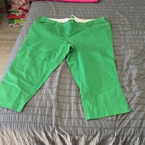 Lands' End Classic Green Pants Sz 18w
